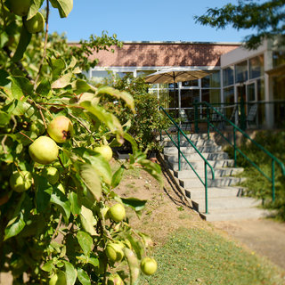 Ein Apfelbaum mit unreifen, grünen Äpfeln steht im Vordergrund. Im Hintergrund ist ein Gebäude mit großen Fenstern und einem Eingang aus Treppen zu sehen. Der Himmel ist blau und es sind einige Bäume in der Umgebung sichtbar.