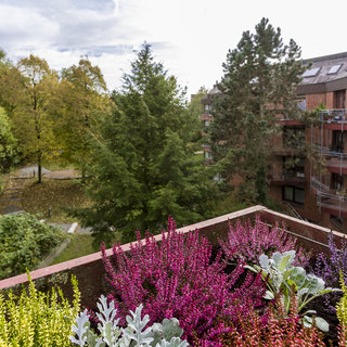 Eine Bepflanzung mit bunten Blumen und Pflanzen ist im Vordergrund zu sehen. Im Hintergrund befinden sich mehrstöckige Wohngebäude sowie grüne Bäume und eine Gartenlandschaft. Der Himmel ist bewölkt, was eine ruhige, herbstliche Atmosphäre schafft.