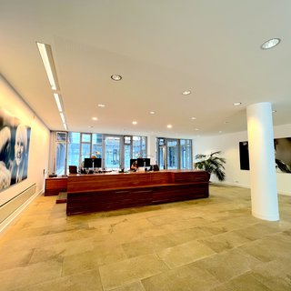 Eine moderne Empfangshalle mit einem hölzernen Empfangstresen und großen Fenstern, die Licht hereinlassen. Links an der Wand hängt ein großes Bild, und rechts steht eine Pflanze. Im Hintergrund sieht man einen Mitarbeiter am Computer.
