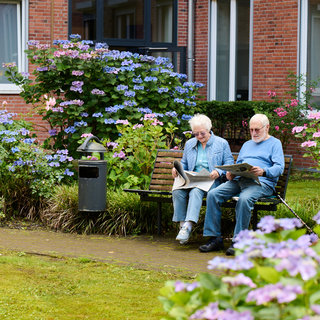 Ein älteres Paar sitzt auf einer Bank in einem blühenden Garten. Sie lesen Zeitungen, umgeben von bunten Hortensien. Die Atmosphäre ist ruhig und entspannt, und der Garten wirkt einladend.