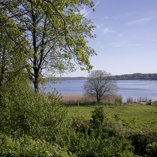 Eine ruhige Landschaft mit einem See im Vordergrund, umgeben von Bäumen und grüner Vegetation. Am Ufer sind einige Schilfpflanzen zu sehen. Im Hintergrund erstrecken sich sanfte Hügel unter einem klaren blauen Himmel.