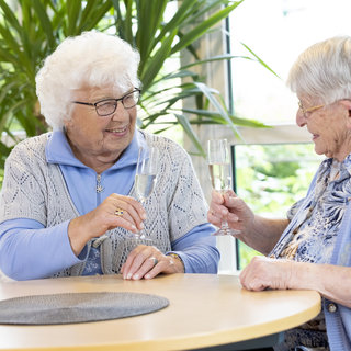 Zwei ältere Frauen sitzen an einem Tisch und stoßen mit Gläsern an. Sie lächeln und wirken glücklich. Im Hintergrund sind Pflanzen und große Fenster sichtbar, die für viel Tageslicht sorgen.