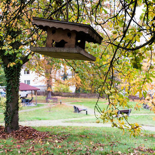 Ein braunes Vogelhaus hängt an einem Baum in einem Park. Im Hintergrund sind herbstliche Blätter und eine grüne Wiese sichtbar. Sitze und Wege sind im Layout des Parks deutlich zu erkennen.