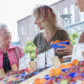 Auf einem Marktplatz unterhalten sich eine ältere Frau und eine jüngere Frau, während sie frisches Obst betrachten. Die ältere Frau lächelt und trägt eine rosa Bluse, während die jüngere Frau eine grüne Bluse anhat und eine Schale mit Orangen in der Hand hält.