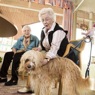 Zwei ältere Frauen sitzen in einem hellen Raum. Eine Frau streichelt einen großen, zotteligen Hund, während die andere sie anlächelt. Der Hund wirkt freundlich und entspannt.