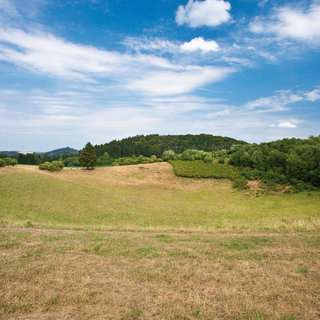 Eine weite, grüne Landschaft im Vordergrund mit sanften Hügeln im Hintergrund. Der Himmel ist blau mit vereinzelten Wolken. Die Szene vermittelt eine ruhige, natürliche Atmosphäre.