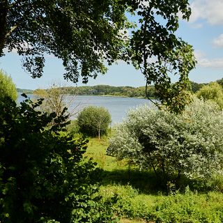 Eine Landschaft mit einem See im Hintergrund, umgeben von Bäumen und Sträuchern. Der Himmel ist leicht bewölkt. Im Vordergrund sind grüne Pflanzen und Bäume sichtbar, die eine naturnahe Umgebung schaffen. Der See und das Ufer sind gut erkennbar.