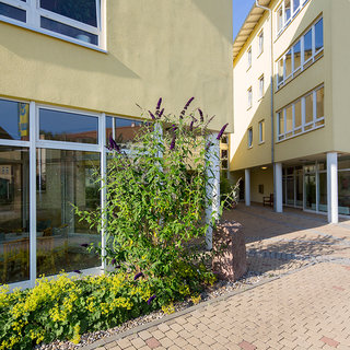 Ein kleiner Außenbereich vor einem modernen Gebäude mit gelber Fassade. Pflanzen und Blumen sind entlang des Weges angeordnet, der zu einem Eingangsbereich führt. Die Fenster reflektieren das Tageslicht und schaffen eine freundliche Atmosphäre.