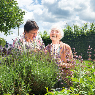 Zwei Frauen stehen in einem blühenden Lavendelfeld. Die ältere Frau lächelt fröhlich, während die jüngere Frau mit ihr spricht. Im Hintergrund sind Bäume und ein bewölkter Himmel sichtbar. Die Szene strahlt Freude und Verbundenheit aus.