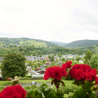 Blick auf eine grüne Hügellandschaft mit einem kleinen Dorf und verstreuten Häusern im Vordergrund. Rote Blumen im Vordergrund rahmen die Ansicht ein, während der Himmel bewölkt ist.