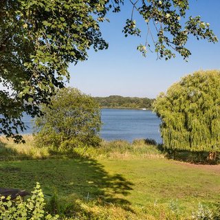 Ein ruhiger Blick auf einen Fluss, umgeben von grünen Wiesen und Bäumen. Im Vordergrund stehen einige Bäume, während im Hintergrund das Wasser und eine sanfte Hügellandschaft zu sehen sind. Der Himmel ist blau und klar, was eine friedliche Atmosphäre schafft.